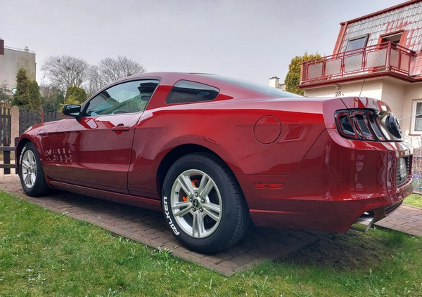 Ford Mustang cena 72500 przebieg: 44700, rok produkcji 2014 z Gdynia małe 56